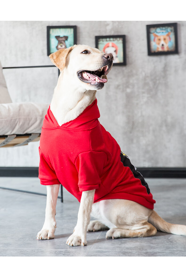 狗狗衣服宠物中型大型犬阿拉斯加金毛秋冬装萨摩耶巨贵冬天保暖红色