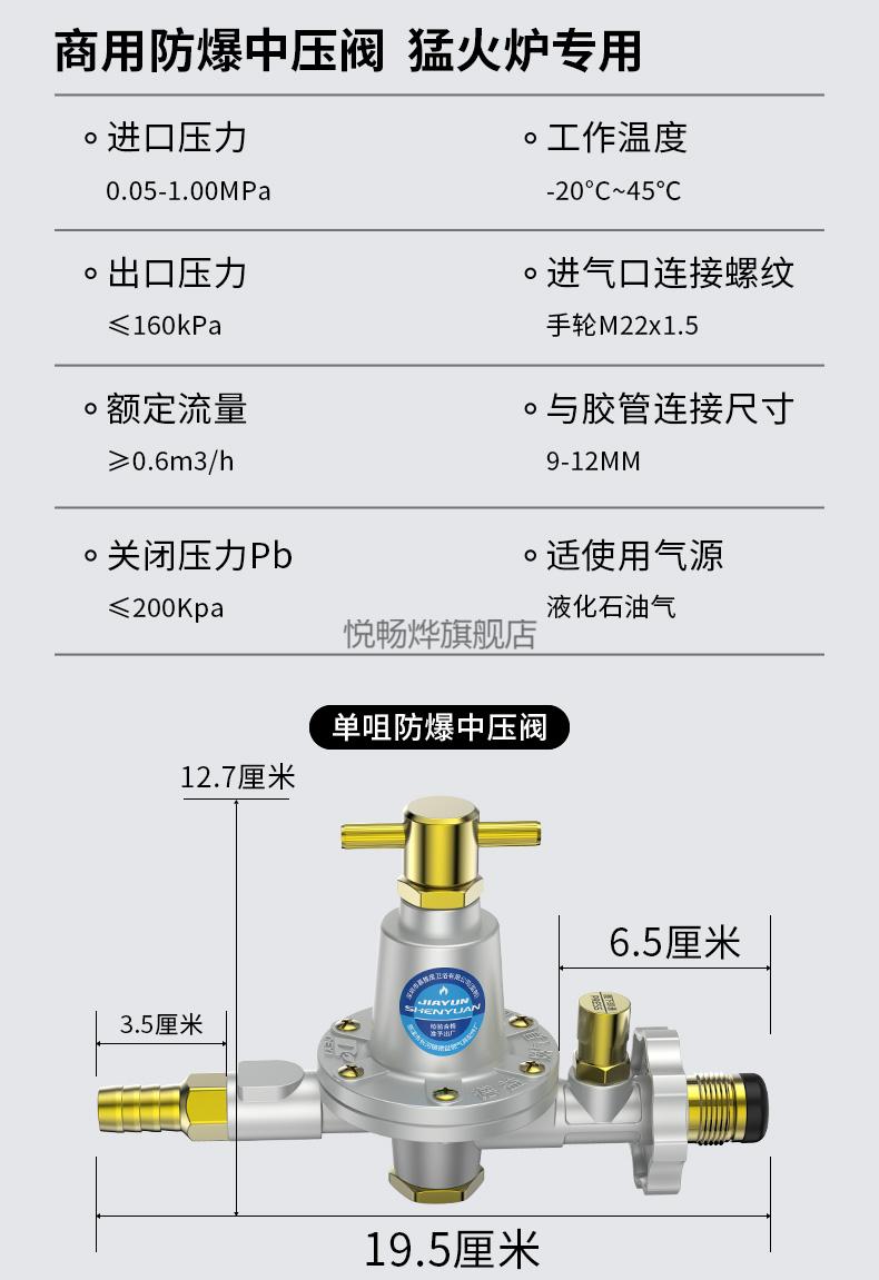 罐减压阀带压力表防爆家用液化气煤气阀门防漏气开关高压低压防爆减压