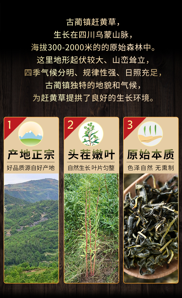 亏本卖500g四川古蔺赶黄草500g