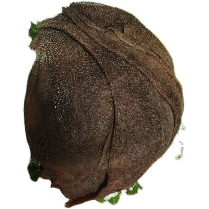 5斤毛肚大叶片新鲜牛百叶商用火锅食材冒菜串串配菜牛