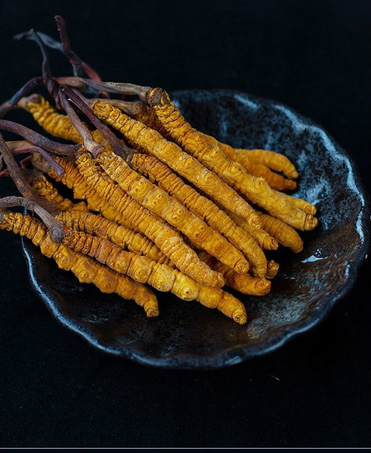 【顺丰空运 冷链速发】云南高山 新鲜冬虫夏草 云南香格里拉高山冬虫