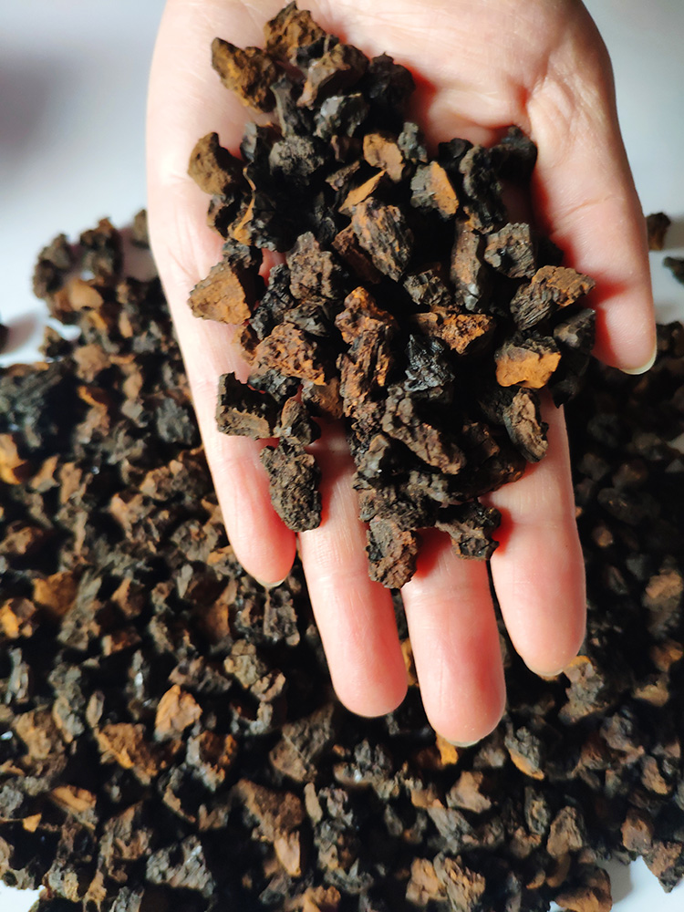 年货节野生桦树茸白桦茸俄罗斯进口官方黑金颗粒一斤华树特级