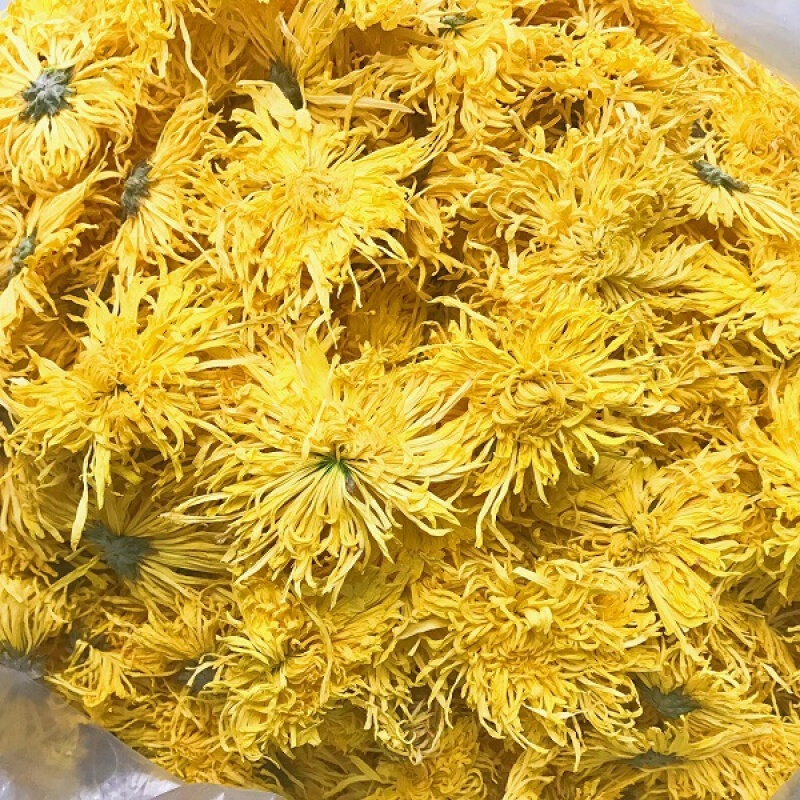 500g金丝皇菊新花一朵一杯金丝菊婺源徽州大皇菊花茶金丝皇菊67cm