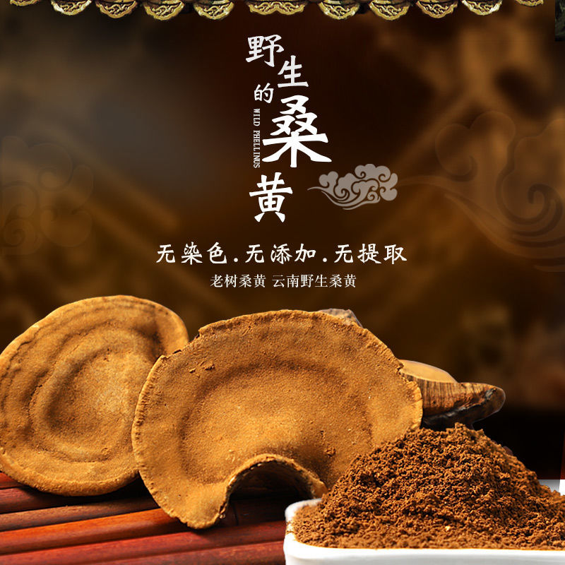 桑黄粉西藏250g瓶桑树桑黄精粉菌 原材料野生桑黄特级500g【图片 价格