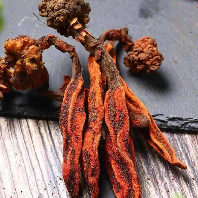 夜之君回春草男性泡酒泡茶煲汤云南顶天柱回心草不老草中药材 回春草