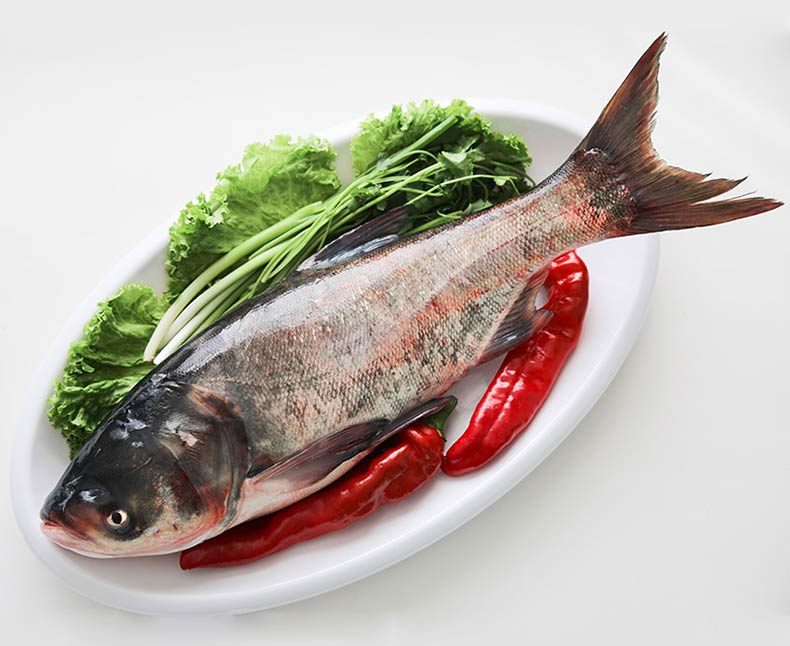 魃鲜胖头鱼345斤冬捕胖头鱼淡水水产礼盒海鲜