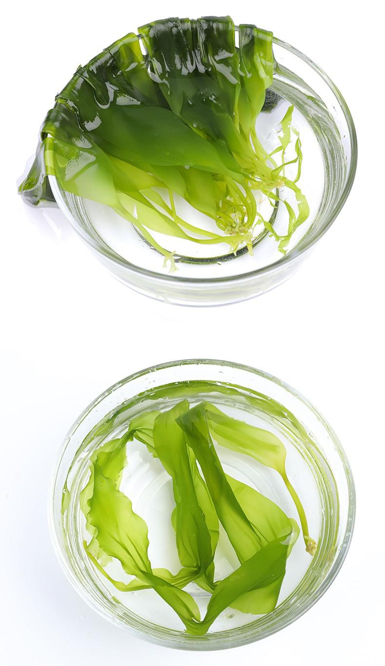 海带苗 海带嫩芽霞浦海带芽新鲜盐渍小海带芽嫩苗3斤火锅食材烫三秒嫩