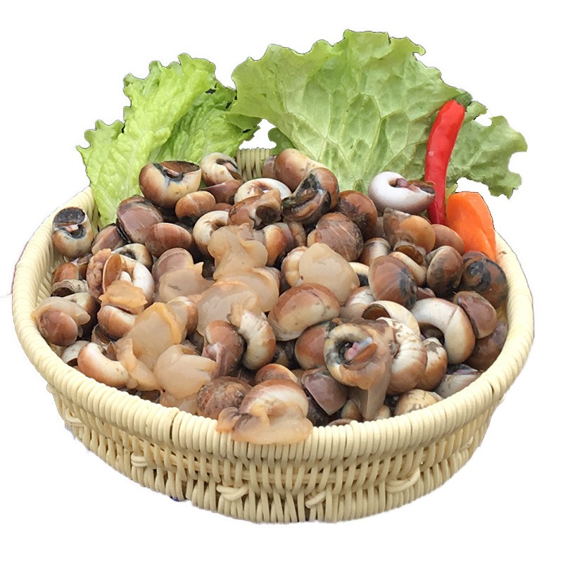 青岛鲜活小香螺 红香螺 肚脐螺 猫眼螺 玉螺 生鲜贝类 海鲜水产 1kg(2