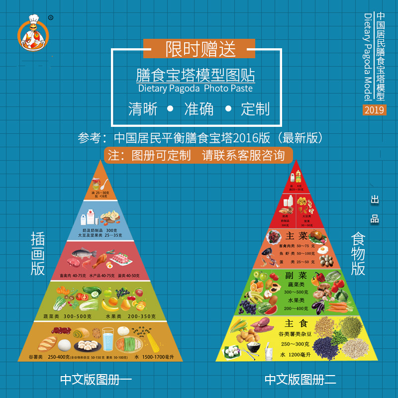 2021新款仿真食品膳食宝塔食物模型金字塔居民饮食均衡营养食物交换份
