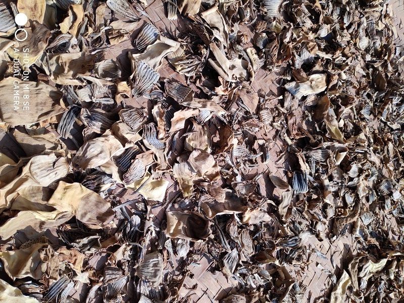 芭蕉花干云南西双版纳干芭蕉花芭蕉衣 干野生芭蕉衣500g【图片 价格