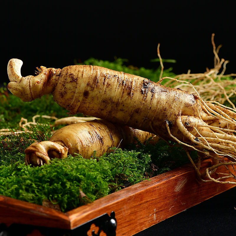 伟博 人参长白山野生新鲜人参带土林下山参东北人参泡酒250g·** 250g