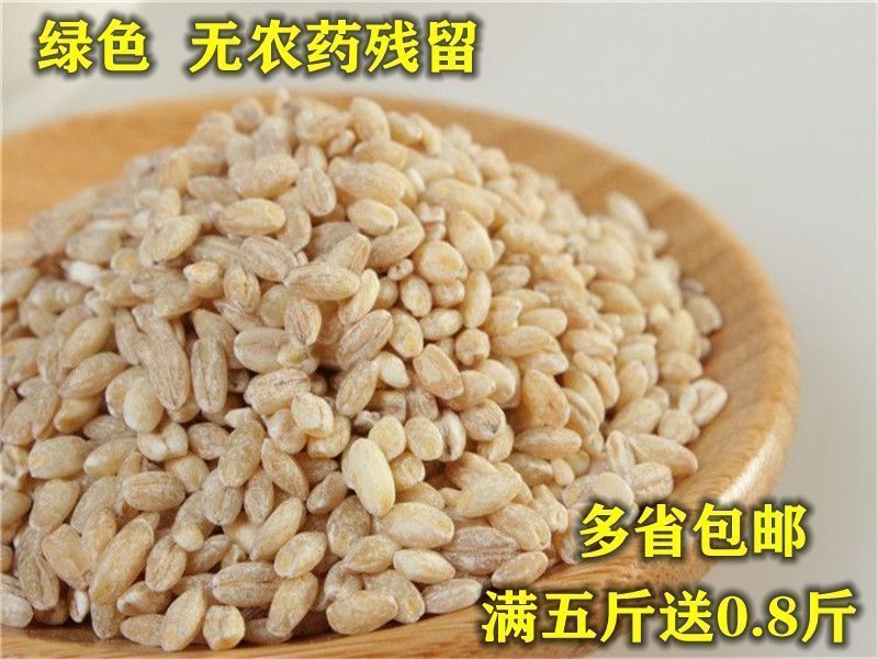 盐城特产苏北五谷杂粮大麦彩子粗粮大麦糁大麦采子大麦米额满大麦片5