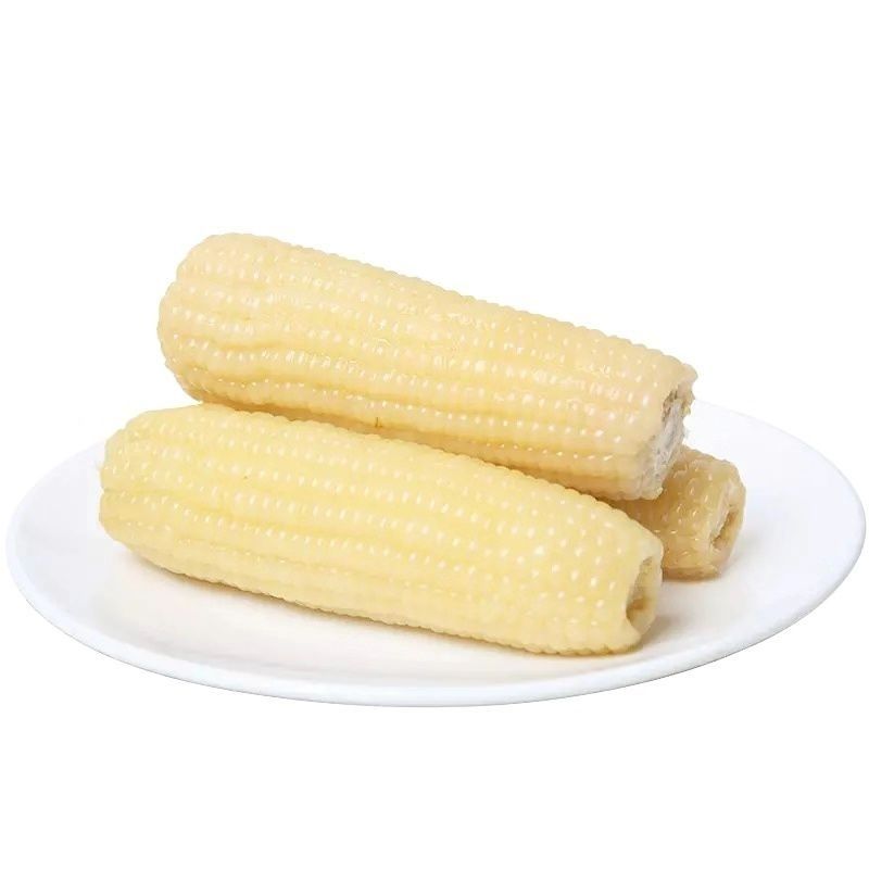 现摘玉米白糯玉米新鲜带壳糯玉米白粘玉米棒 10斤