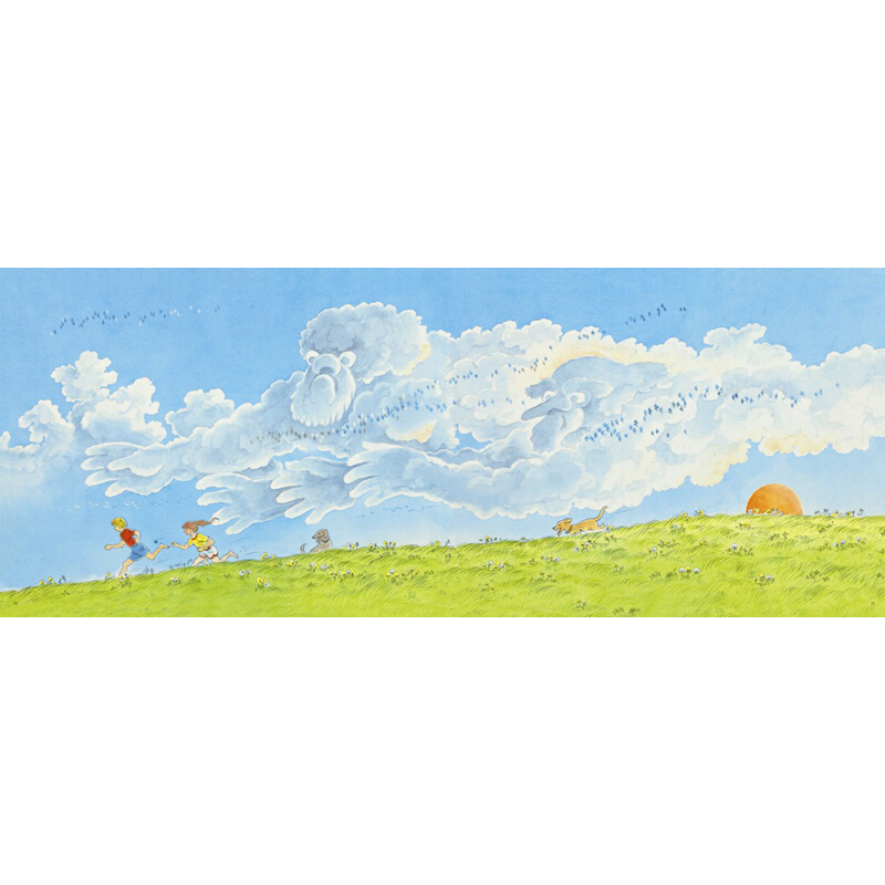 夏天的天空 6-12岁 凯迪克奖大师彼得史比尔幼儿绘本 童书 书籍 绘本