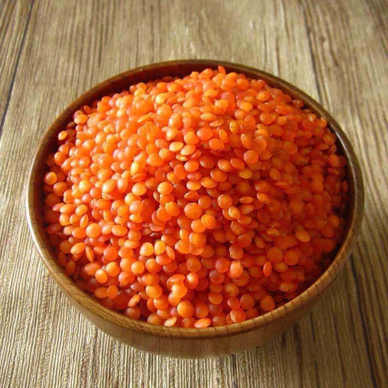 红小扁豆新货番茄红扁豆小扁豆 马粟豆 杂粮豆浆米糊 250g试吃装 红