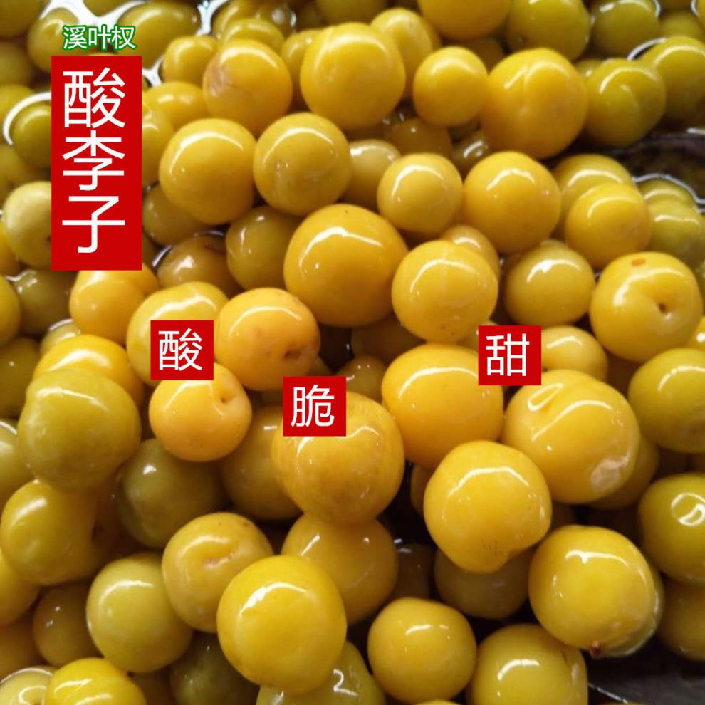广西酸李子酸嘢农家自制李子腌制水果新鲜李子泡果横县不辣300克瓶