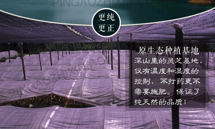 b359815befc9af2b.jpg