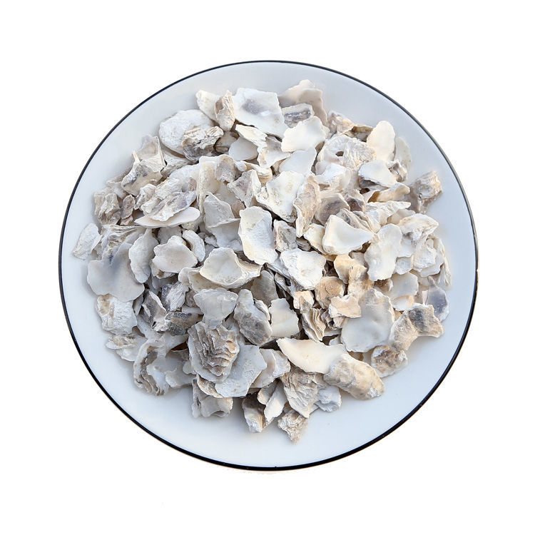 中药材 牡蛎 生牡蛎 牡蛎壳 生牡蛎壳 牡蛎片 另售 牡蛎粉 煅牡蛎