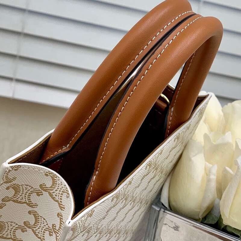 瑟琳celine女士迷你标志印花竖款手袋手提包预售情人节生日礼物老花17