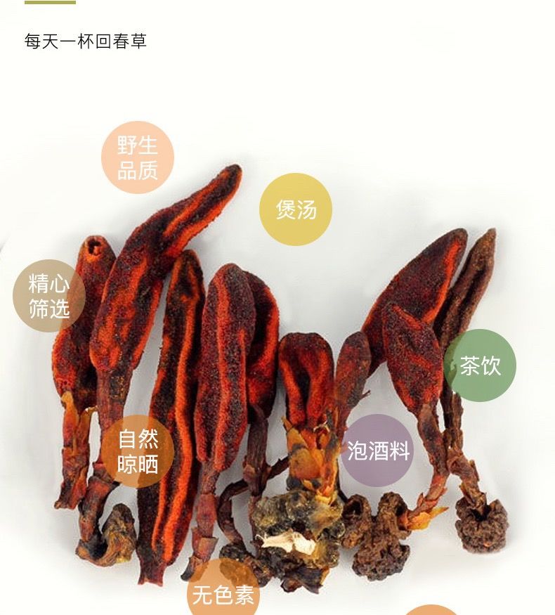 回春草顶天柱回心草男性滋补金锁阳泡茶温肾补阳泡酒料肉苁蓉 肉苁蓉