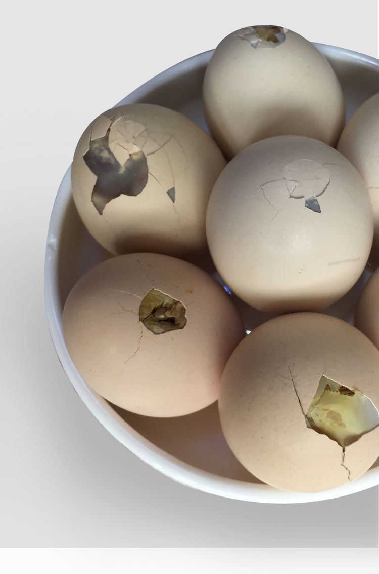 农家毛蛋生毛鸡蛋新鲜鸡胚蛋旺鸡蛋喜蛋20枚不破壳