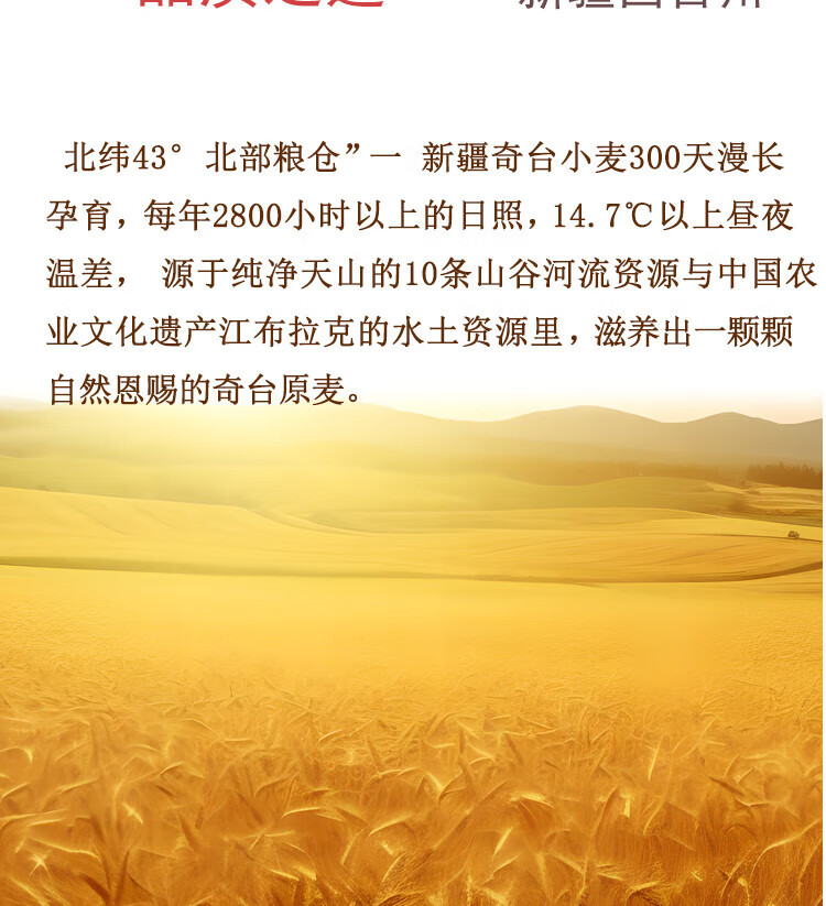 c3976038763fe0da.jpg