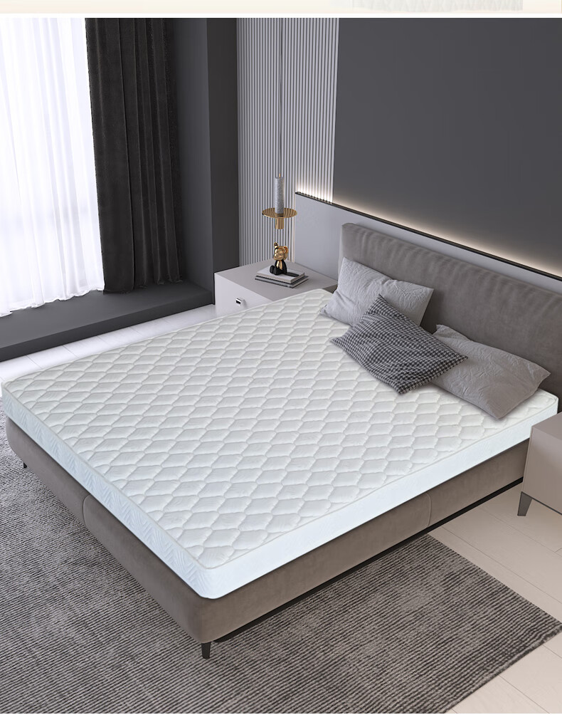 皖宝席梦思床垫舒适皖宝床垫天然3d椰棕床垫棕垫硬垫乳胶席梦思儿童