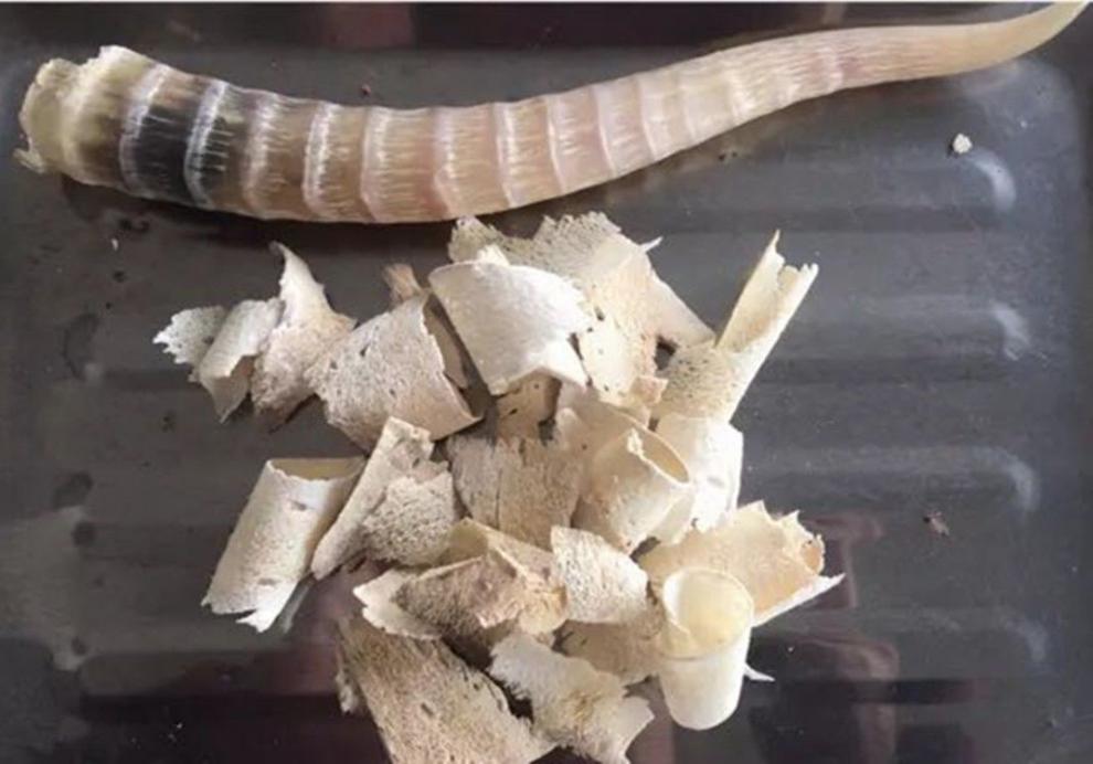 中药材羚羊角骨塞片 整角骨塞惊厥抽搐 1斤500克装