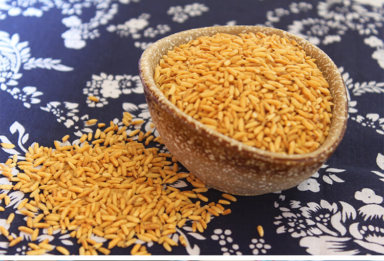 炒米茶焦米茶炒大米湖北荆门特产钟祥米茶玄曲米茶糙米茶泡水代餐