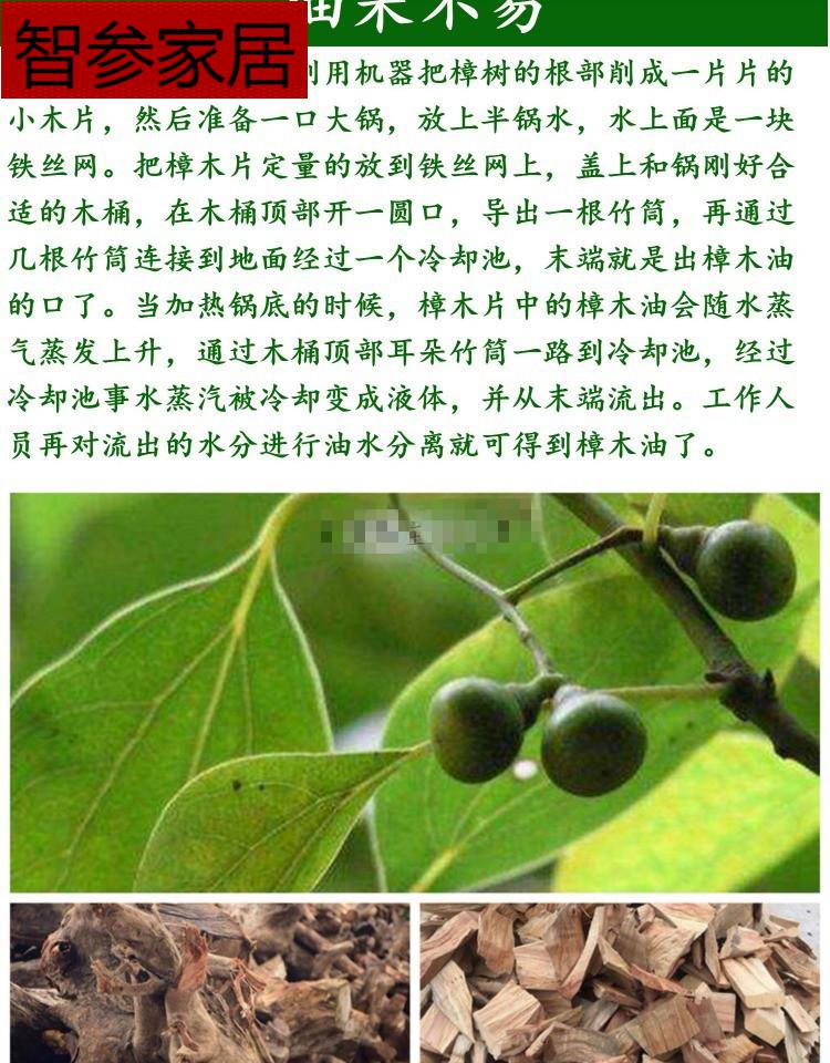 浪漫符号天然樟木油消毒止痒祛异味香樟油驱蚊虫木家具防蛀樟脑树精油