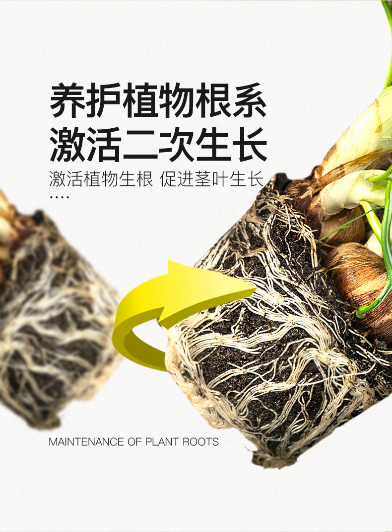 树苗生根剂生根粉快速发根多肉植物花卉扦插移栽通用强力生根剂果树