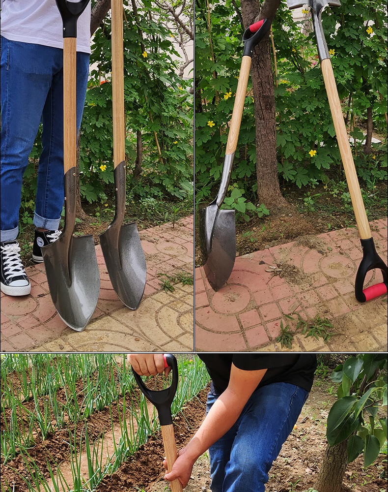 铁锹锰钢农用铲子户外挖地松土全钢家用园艺工具挖树挖坑赶海器 c26型