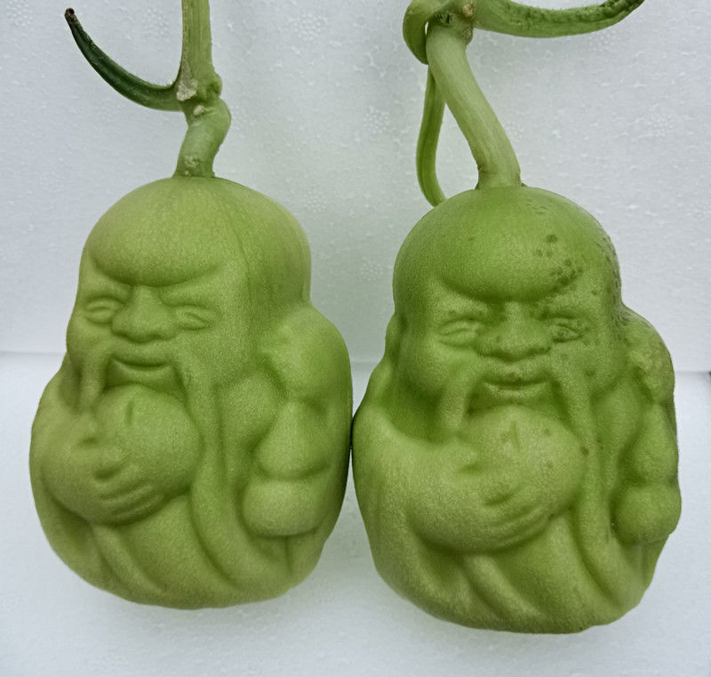 现摘人形人参果水果甜福娃贡果节日礼物新鲜水果多规格10个拉花精品装