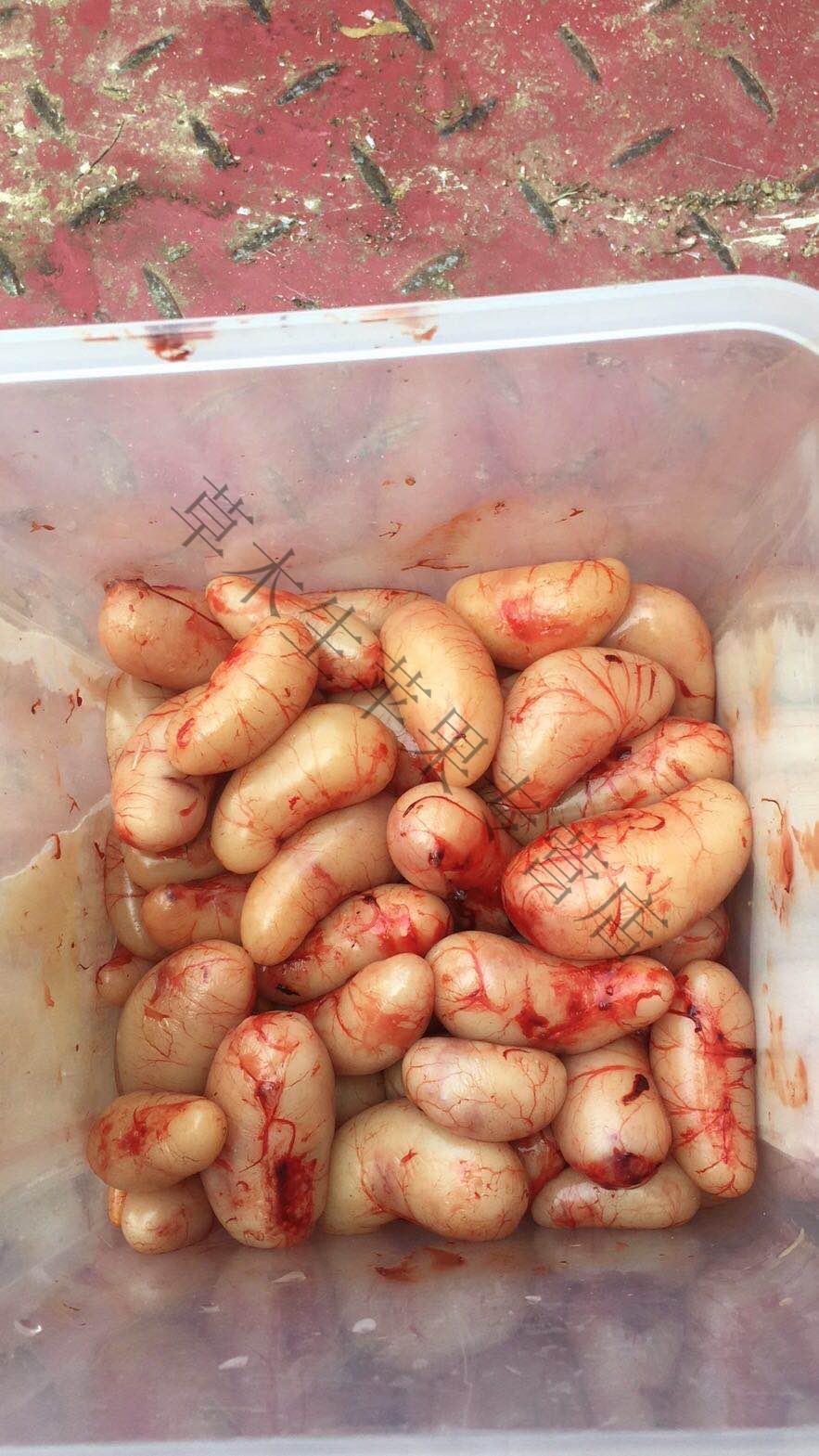 净樱鸡腰子公鸡睾丸鸡子可入阉鸡取卵新鲜 500克【图片 价格 品牌