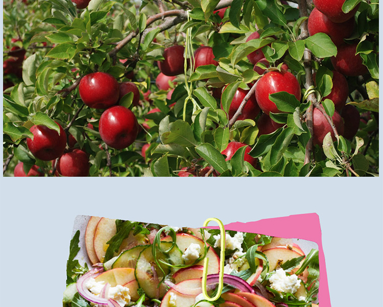 新西兰进口pinklady粉红佳人苹果特级果8粒礼盒装单果重约130170g生鲜