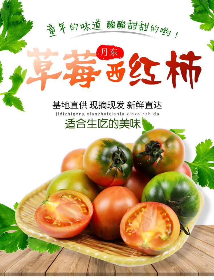青樱红荔 丹东铁皮柿子草莓柿子油柿子碱地柿子草莓番茄5斤装西红柿 3