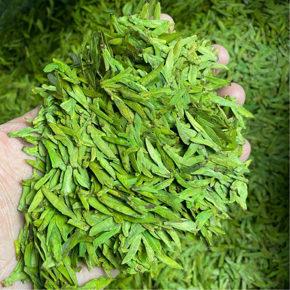 乌牛香茶浙江松阳乌牛早茶春茶2022年新茶半斤250g克乌牛茶丽水乌牛早