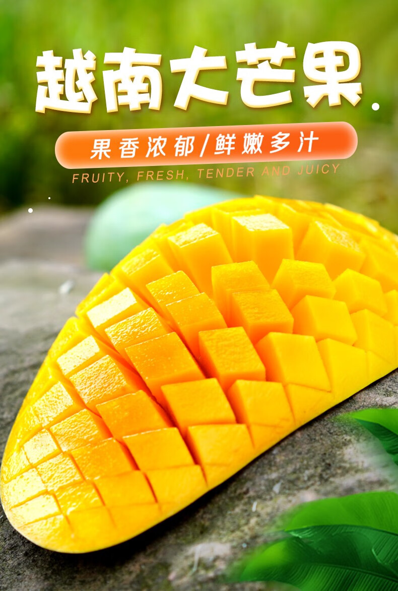 越南芒果进口大青芒装当季新鲜特大青芒果应季水果整箱3斤/5斤/9斤 9