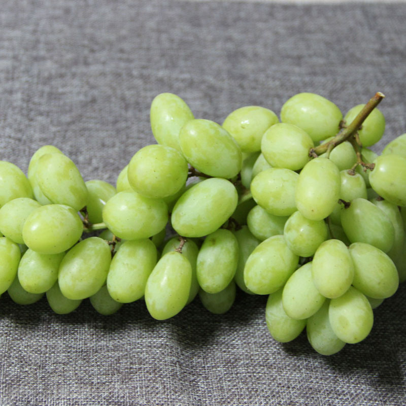 无籽青提2斤爽脆多汁进口提子手指青提葡萄新鲜水果1500g