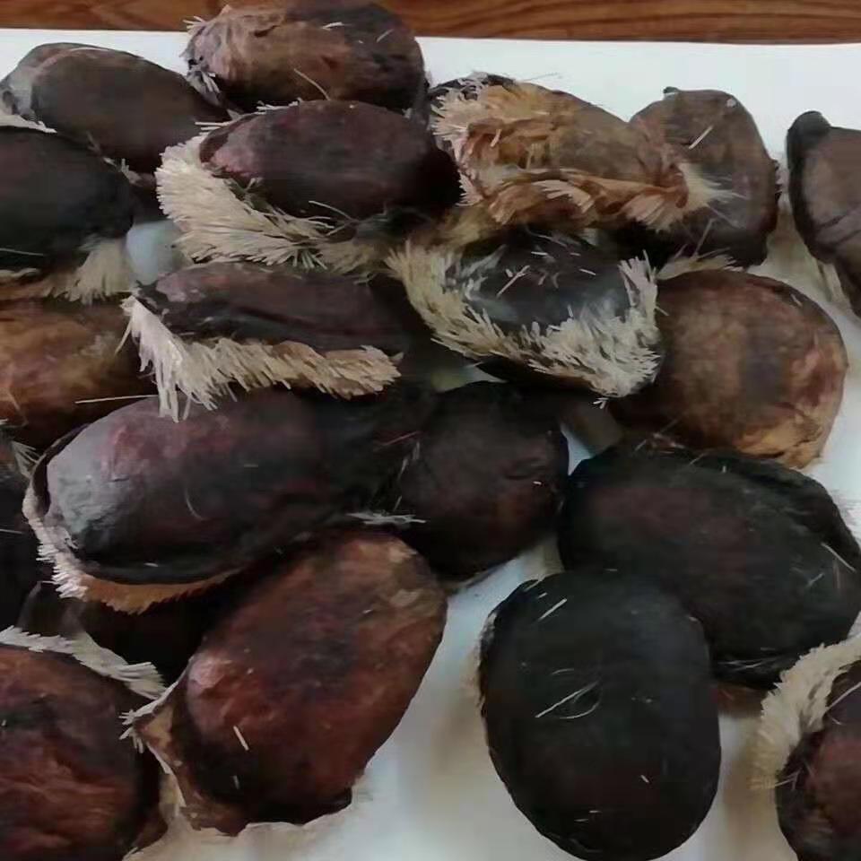 有仁堂麝香中药材西藏麝香高含量养殖麝香麝香粉仁药用年货麝香仁6年2