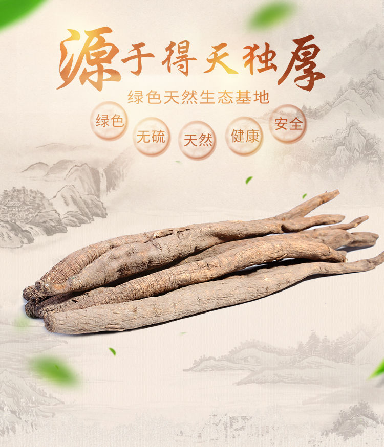 西归的药用价值图片图片