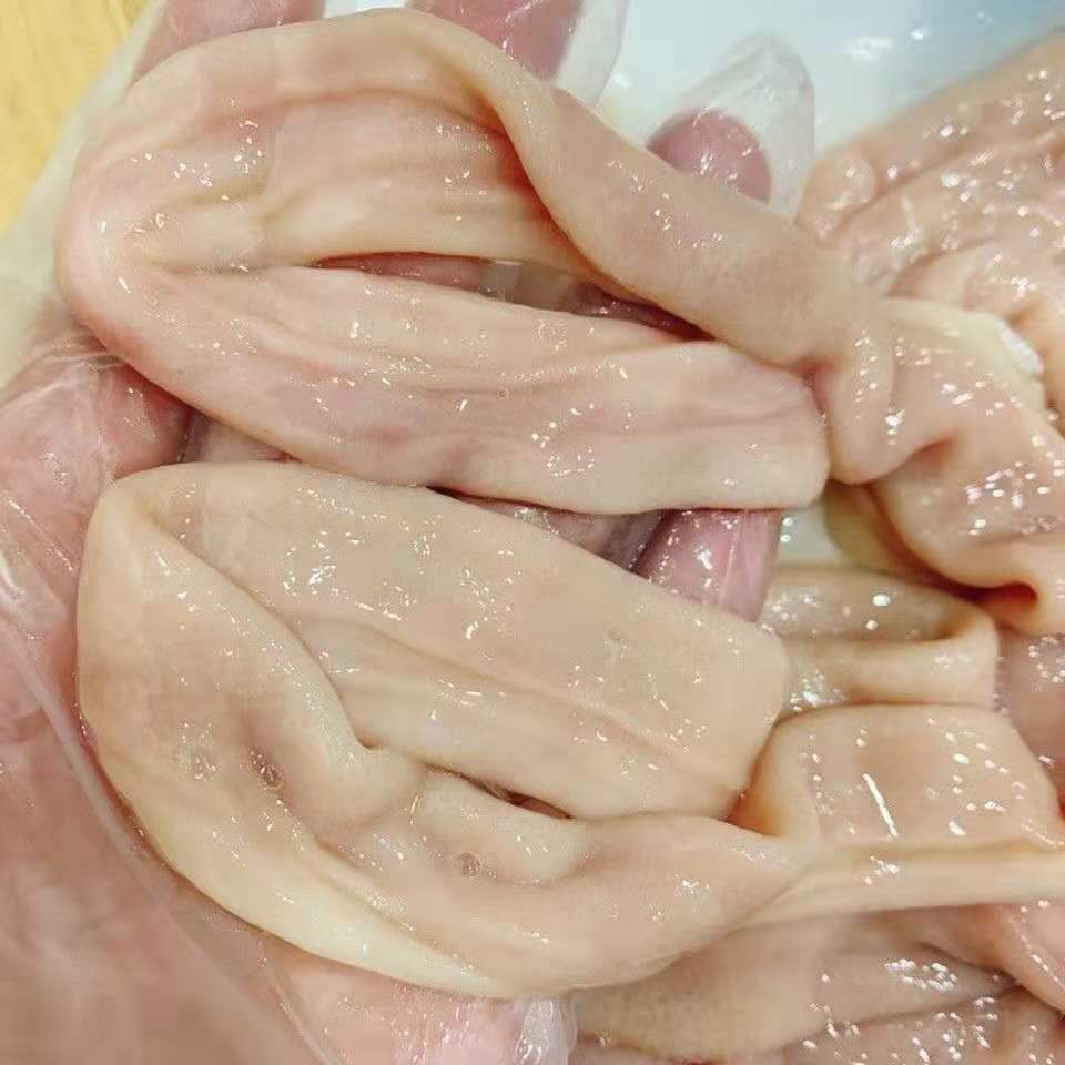 新鲜猪小肠猪肠子圈圈肠粉肠猪内脏熟小肠血肠冒节子小肠干净免洗 姬