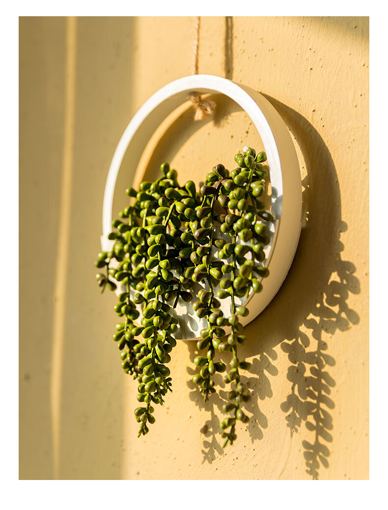 壁挂创意个性悬挂式情人泪室内垂吊圆形木盆佛珠吊兰木盆佛珠挂件1套