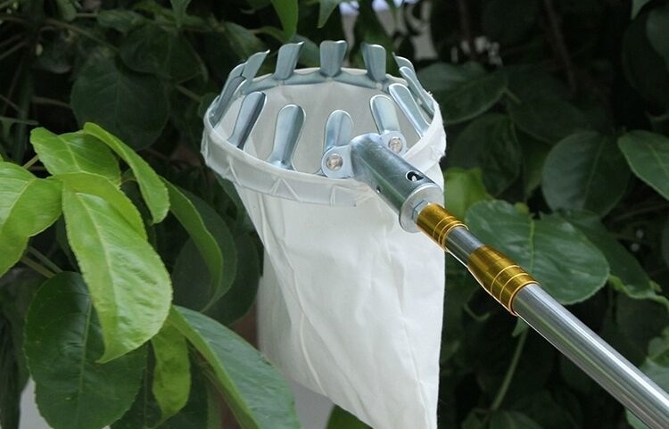 摘芒果神器高空摘果不锈钢伸缩杆摘枇杷神器高树枝加长采摘杆多功能