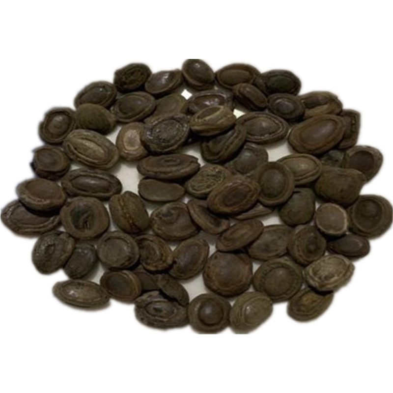 猴枣中药材 猴枣 新货 5g克 猴子枣 猴丹 羊肠枣 申枣【图片 价格