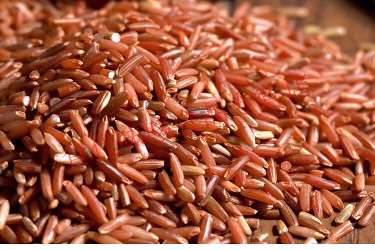 大米 红糙米 食用红米 吃的红米 五谷杂粮粗粮农家自产营养新米 红色