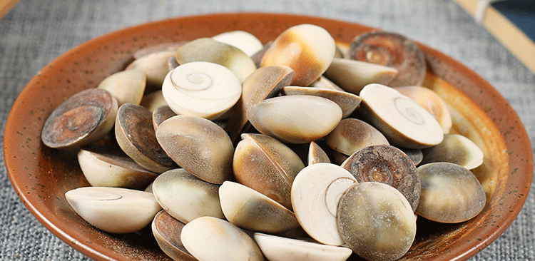 盛羿堂正宗甲香500g中药材批发水云母海月催生子另