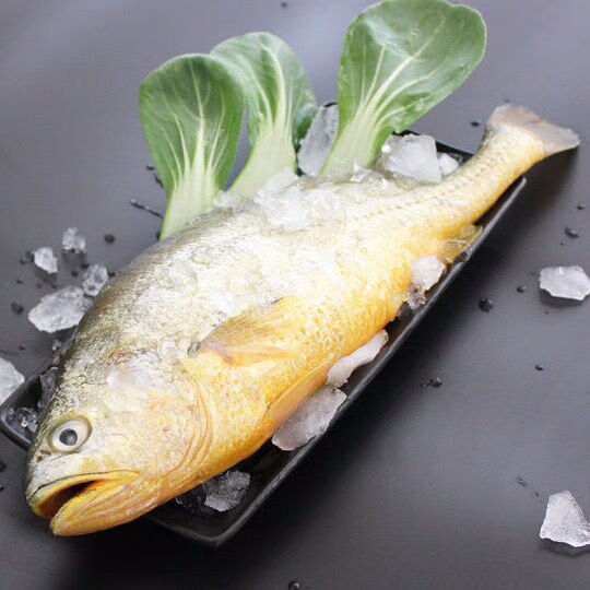 lism黄花鱼5斤小黄鱼舟山大黄花海鲜活鲜一斤批发 9两-1斤左右 野生3