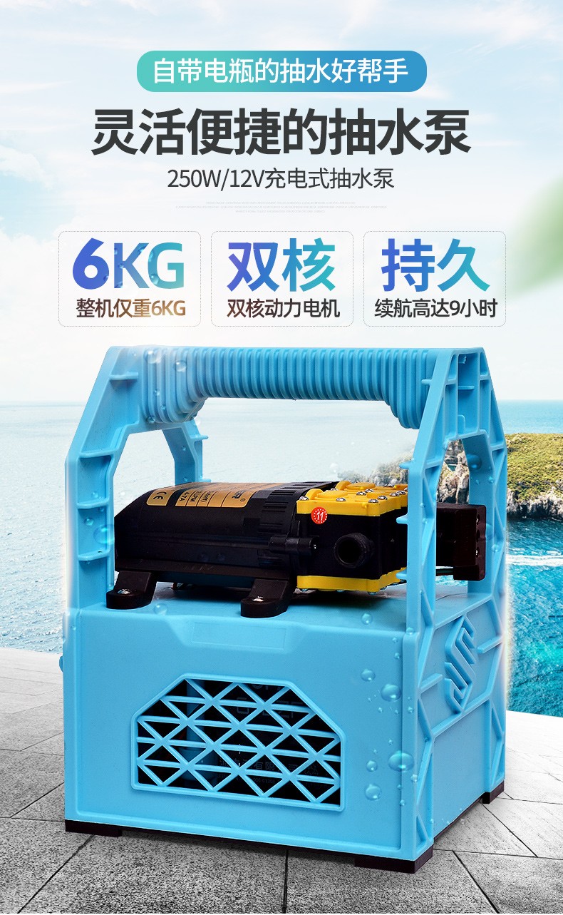 佰霆充电水泵12v家用打药机无线洗车打药泵电动喷雾器户外便携式农用