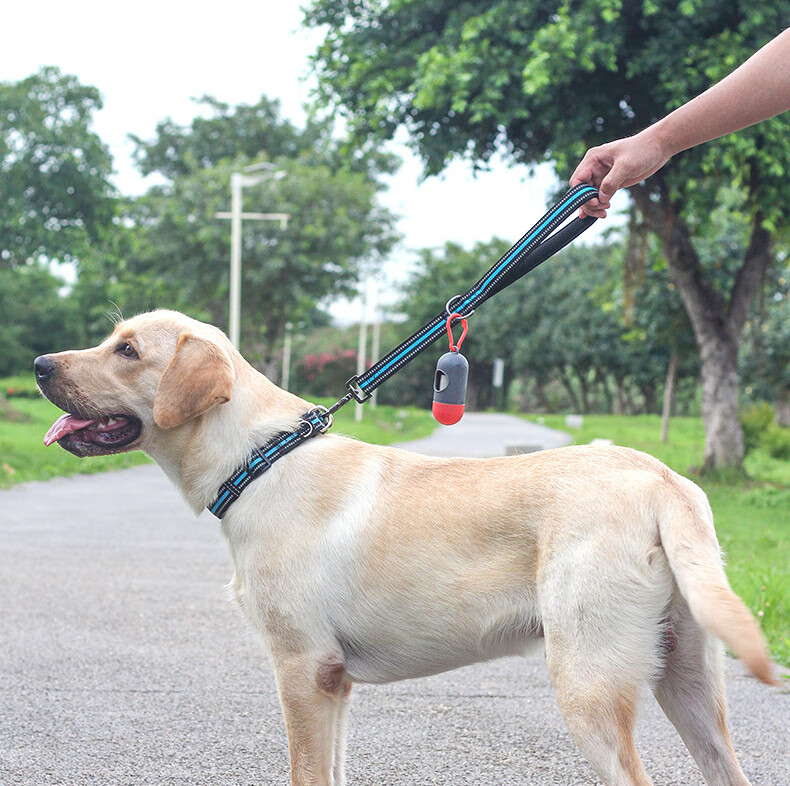 大狗短牵引绳一步牵拉布拉多金毛大中型犬短款训犬遛狗绳 蓝色白扣 短